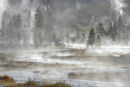 MISTY STREAM